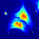 Illustration for article titled These Are the First X-Rays of a Living Cell